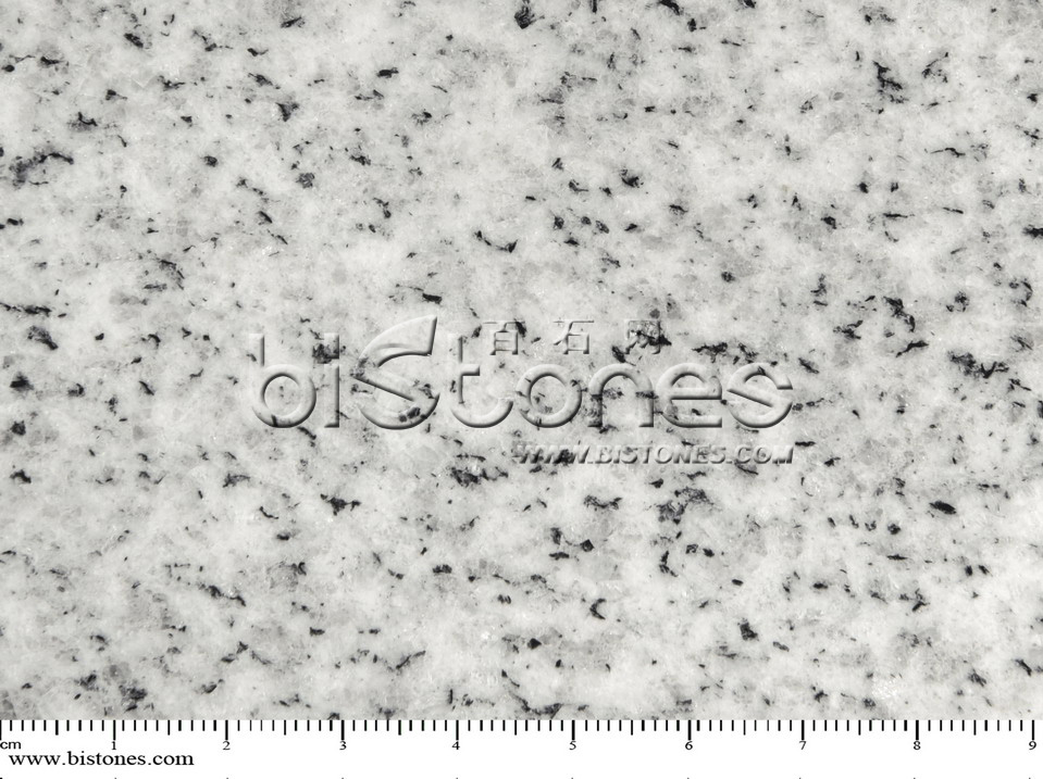 Shandong White Pearl