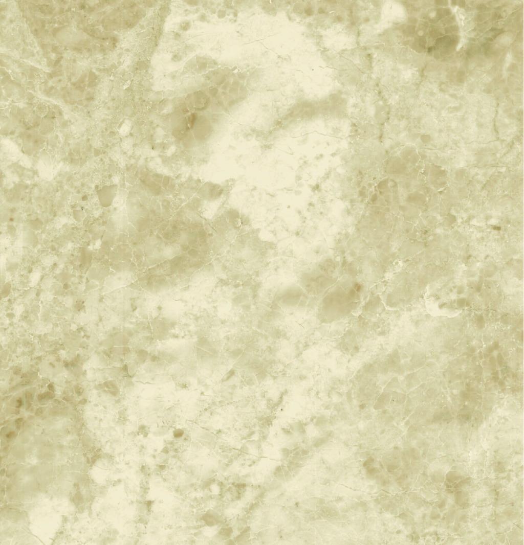 Adalia Capucchino Adalia Capucchino