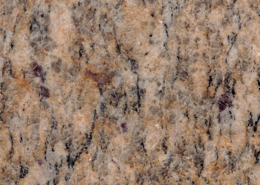 Santa Cecilia Classic