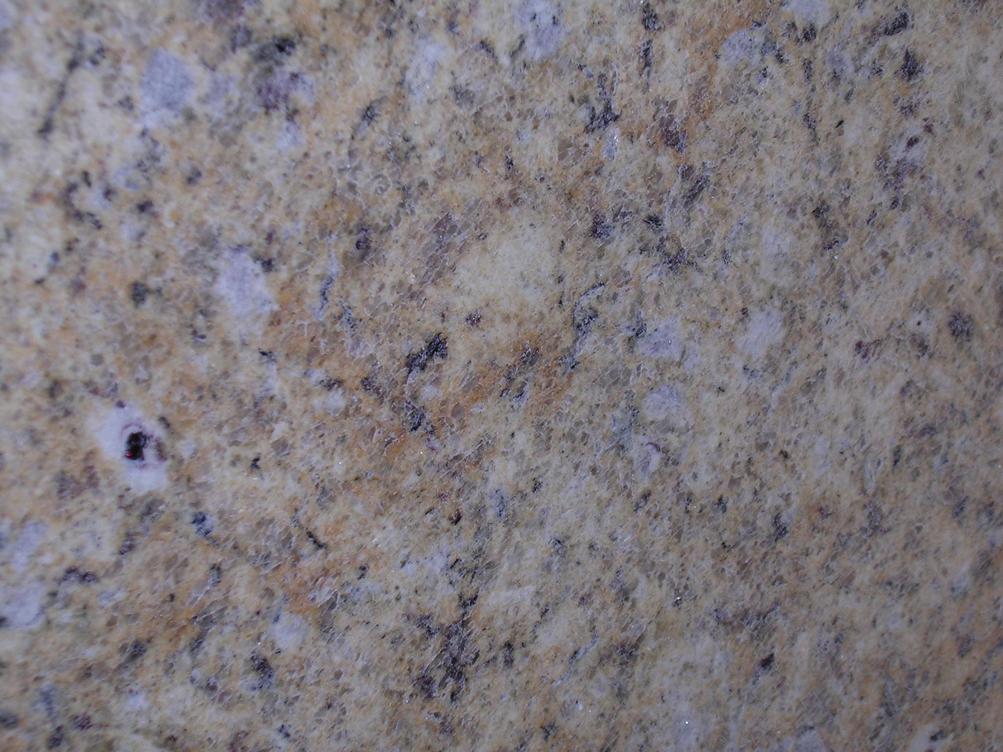 Golden King Golden King