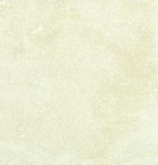 Apollonia White Apollonia White