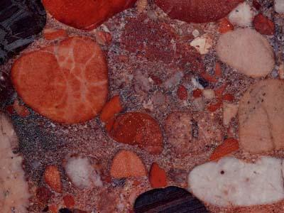 Aquarius Red Aquarius Red