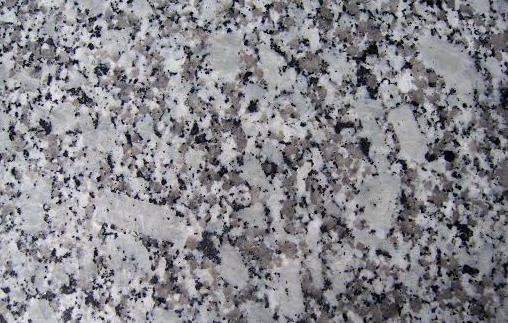 Bala Flower Bala Flower