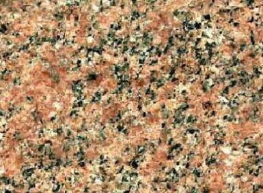 Belmont Rose Belmont Rose