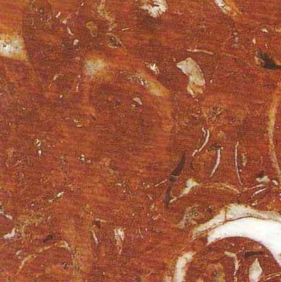 Bilbao Red Bilbao Red