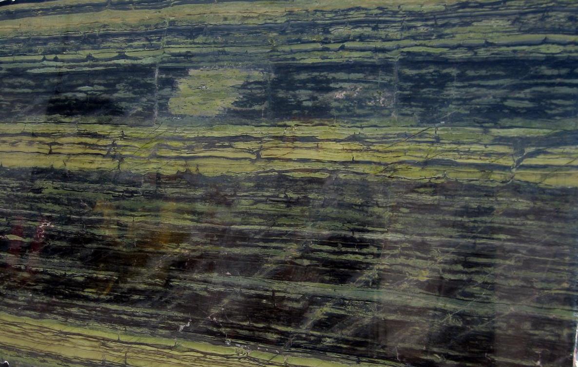 Bamboo Green Bamboo Green