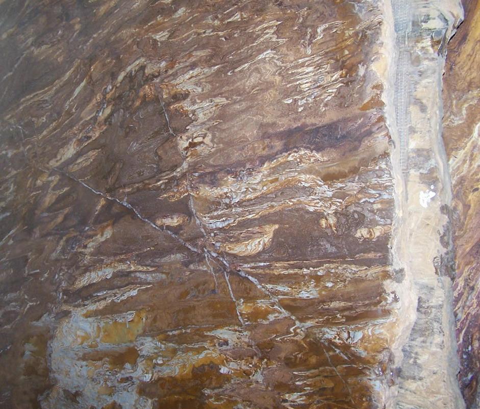 Bamboo Yellow Bamboo Yellow