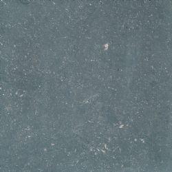 Belgian Blue Belgian Blue