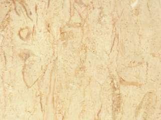 Betra Santa Betra Santa