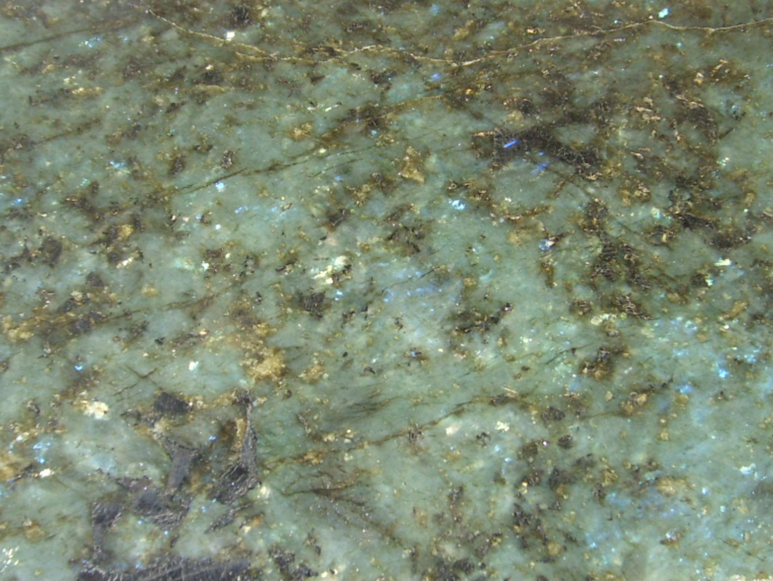 Blue Australe Blue Australe