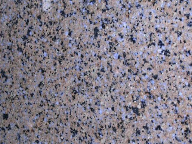 Castor Blue Castor Blue