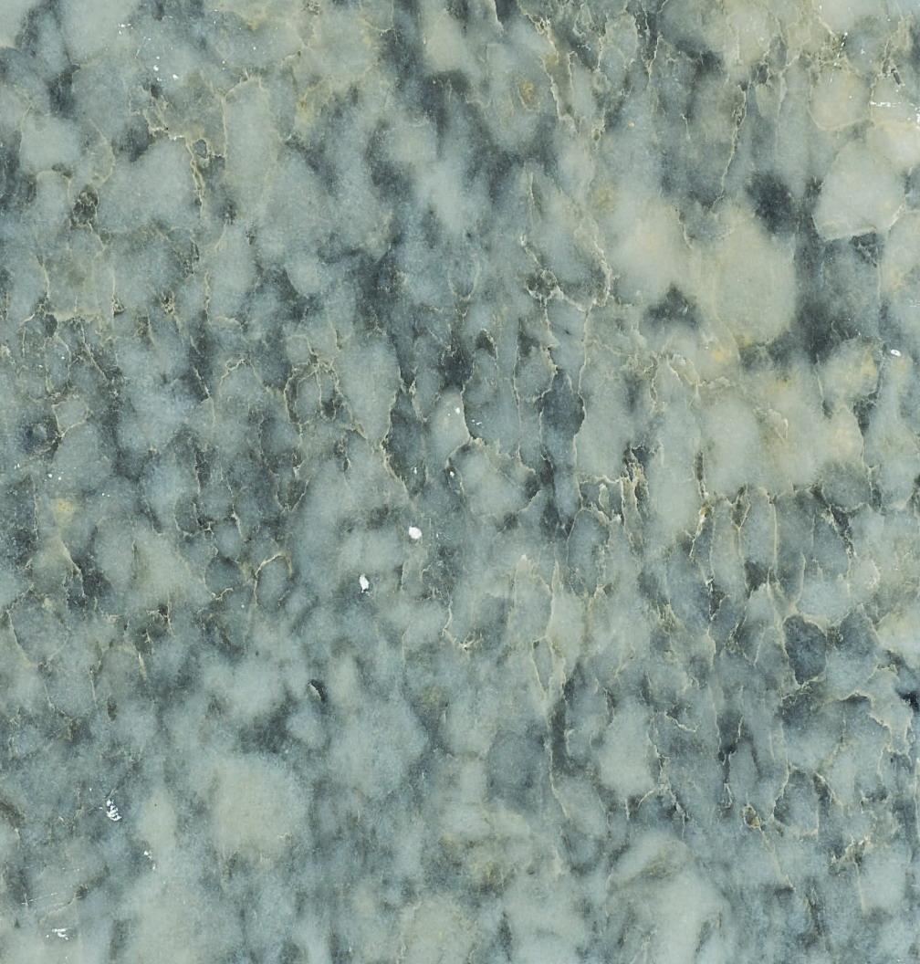 Iris (Tiger Skin) Iris (Tiger Skin)