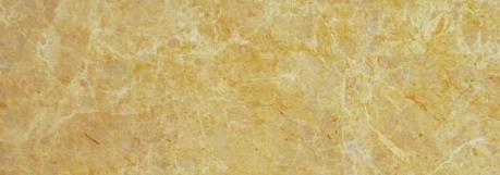 Golden Emperador Golden Emperador