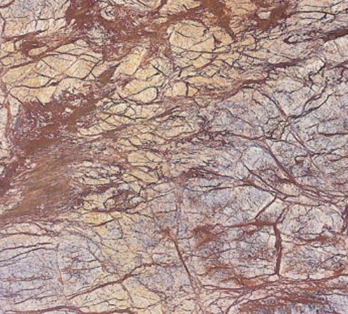 Golden Glory Golden Glory