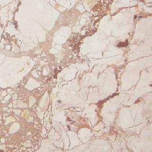 Desert Fancy Desert Fancy