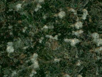 Flower Ubatuba Flower Ubatuba