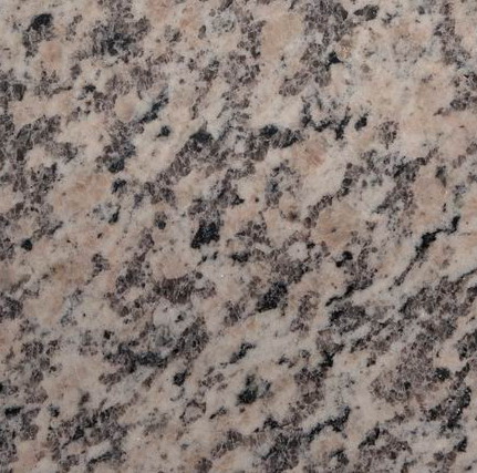 Jurasik Pink Jurasik Pink