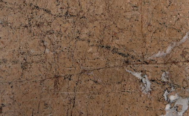 Rain Forest Brown Rain Forest Brown