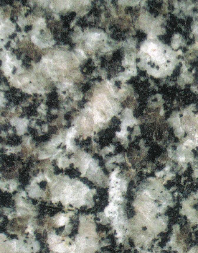 Rockville Beige Rockville Beige