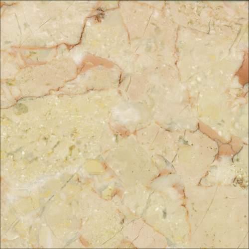 Rosa Anatolia Rosa Anatolia