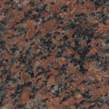 Rosa Aswan Dark Rosa Aswan Dark