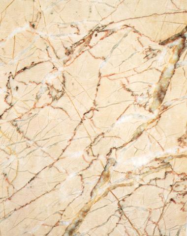 Rosa Atlantide Rosa Atlantide