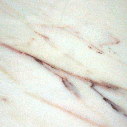 Rosa Aurora Rosa Aurora