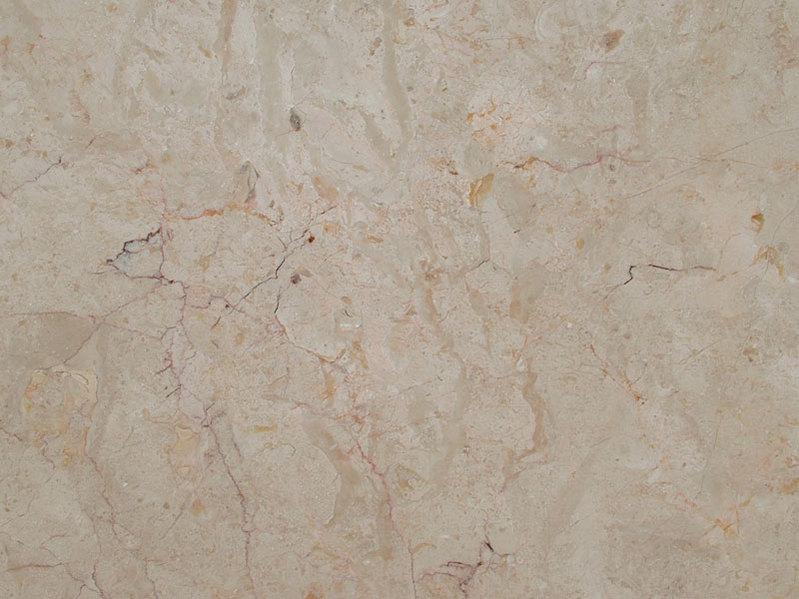 Rosa Bellissimo Rosa Bellissimo