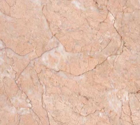 Rosa Blanca Rosa Blanca