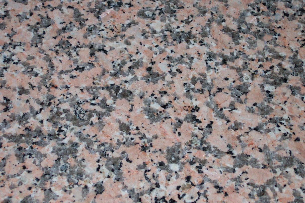 Rosa Porinio Rosa Porinio