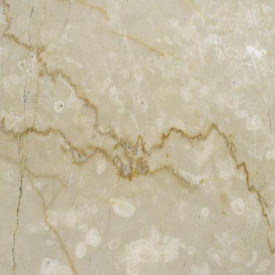 Rosa Salmon Rosa Salmon