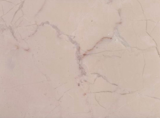 Rose Cream Rose Cream