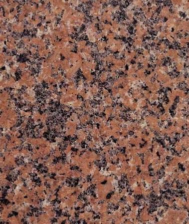 Rose De La Clarte Rose De La Clarte