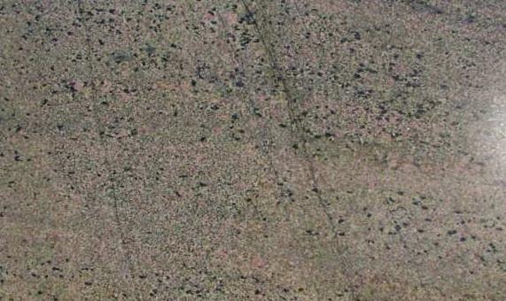 Rose Green Rose Green