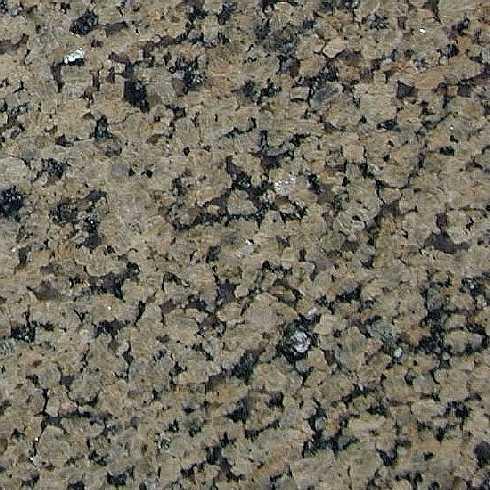 Summer Yellow Summer Yellow