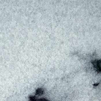 Sunny White Sunny White