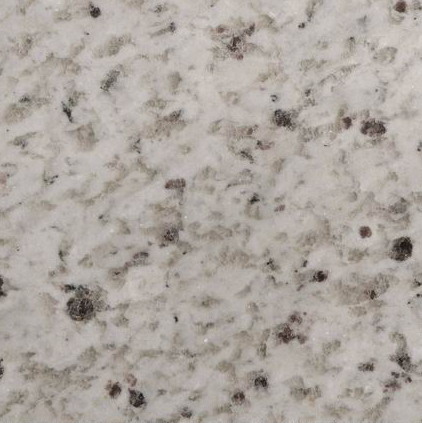 Swan White Swan White