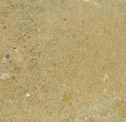 St. Marc Juane St. Marc Juane