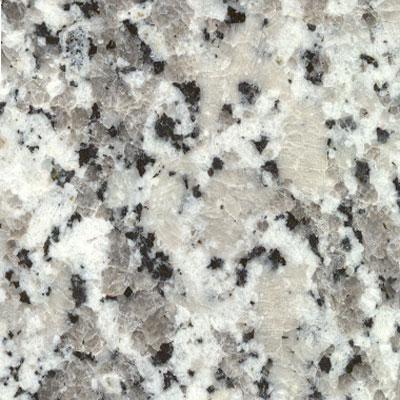 White Sardo White Sardo