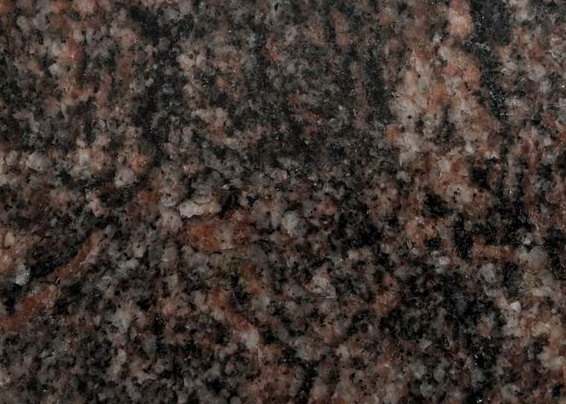 Himalayan B Himalayan B