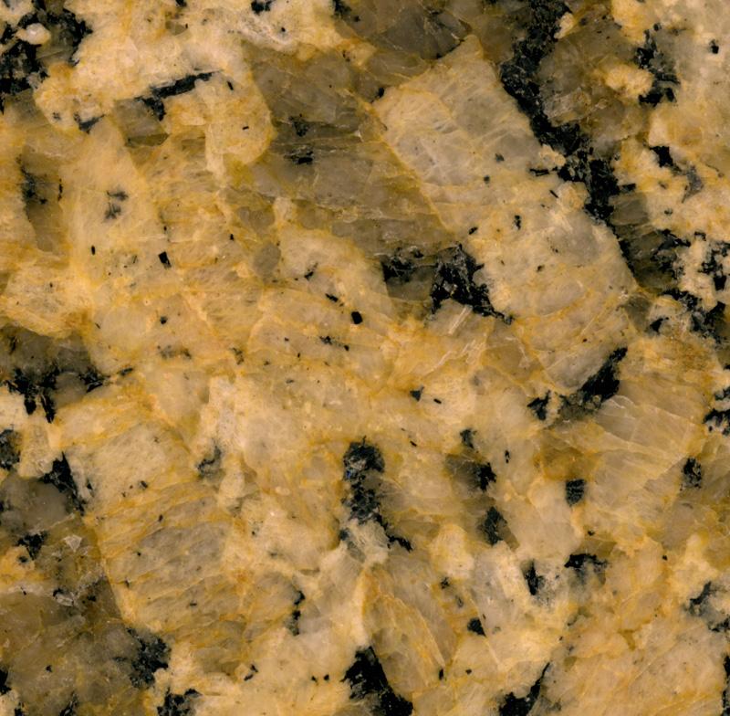 Yellow Butterfly Yellow Butterfly