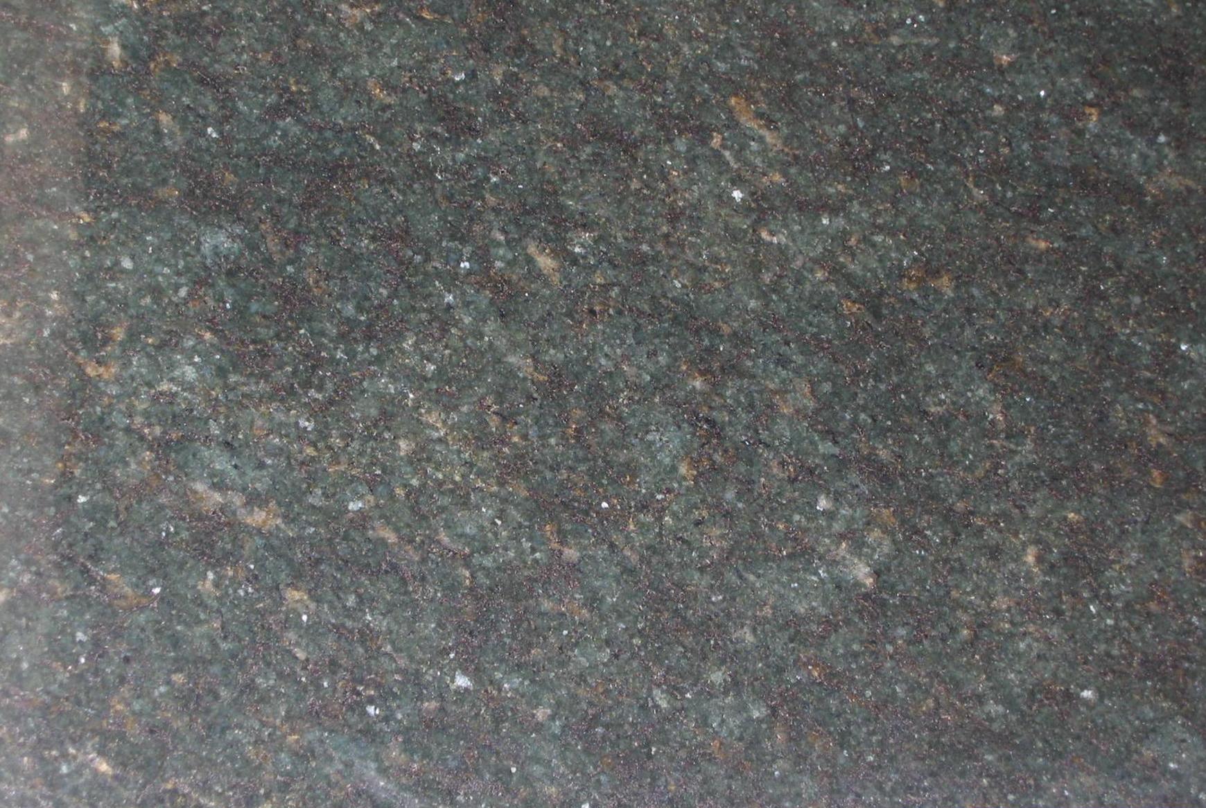 Seaweed Green Seaweed Green