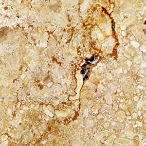 Versace Gold Versace Gold