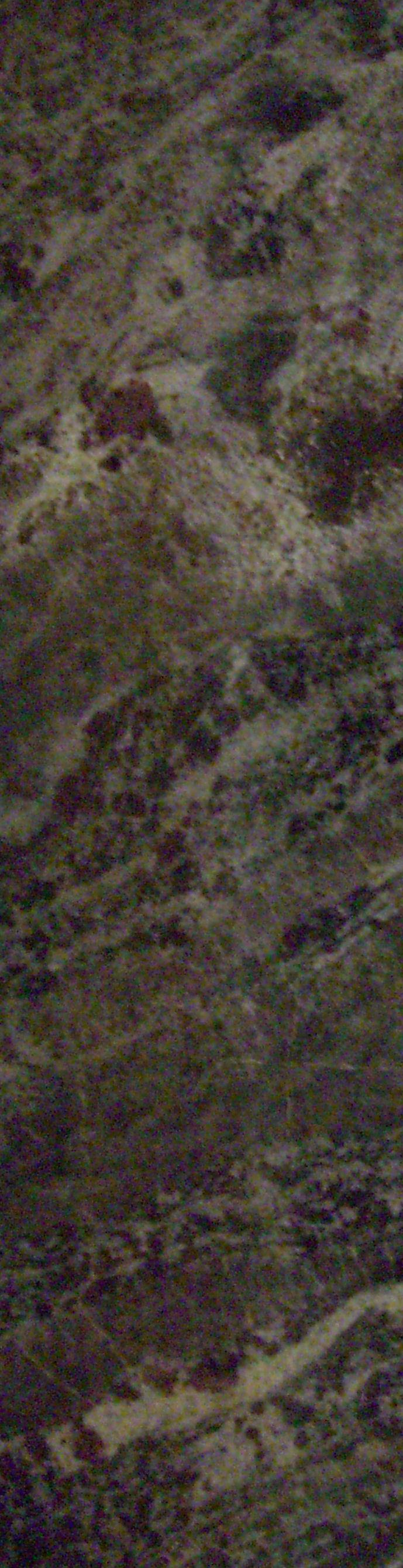 Ocean Fantasy Ocean Fantasy