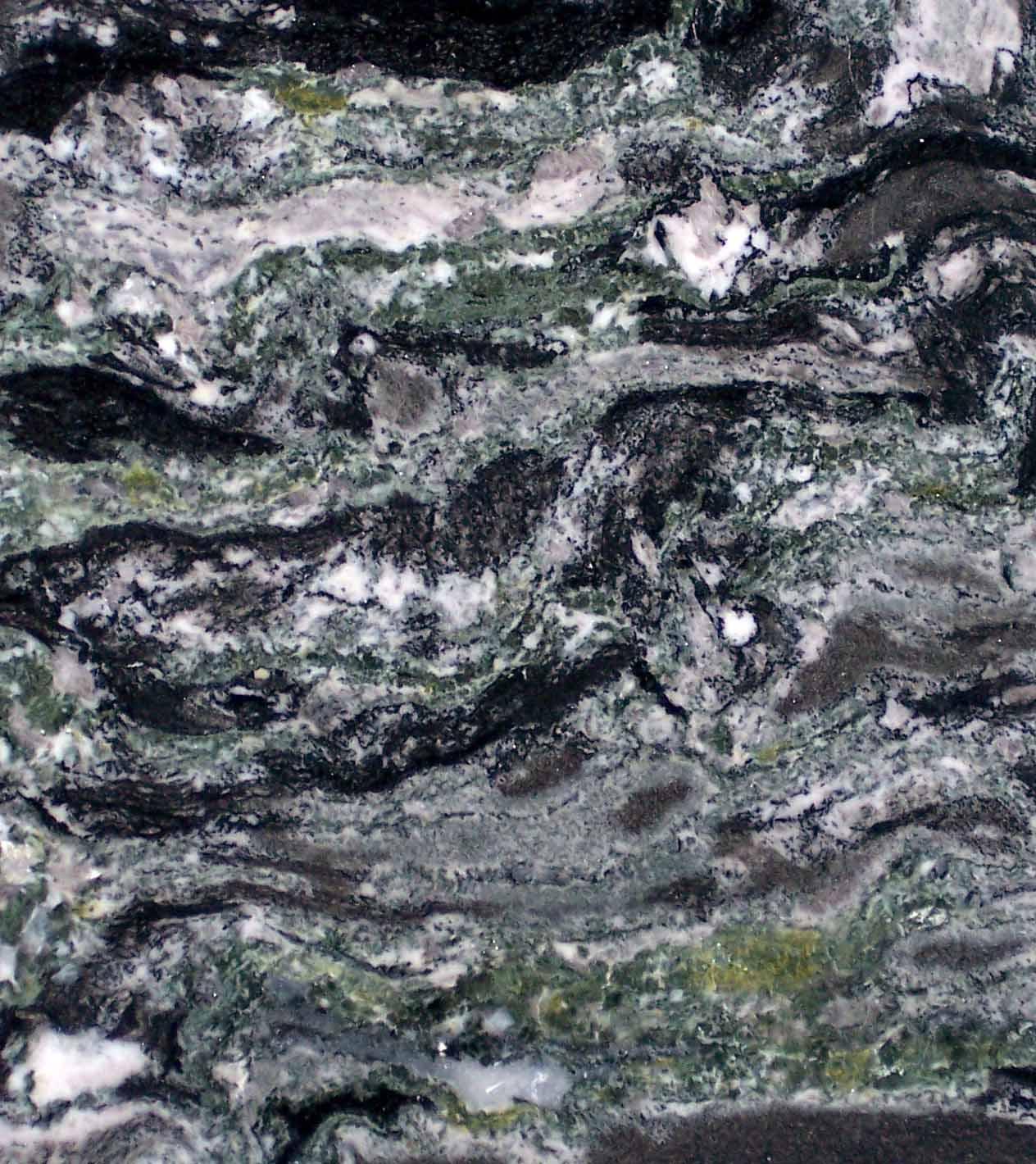 Ocean Flower Ocean Flower