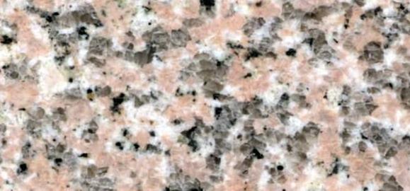 Oriental Cherry Red of Laizhou Oriental Cherry Red of Laizhou