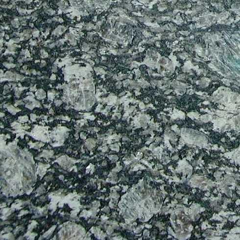 Oyster Pearl Oyster Pearl