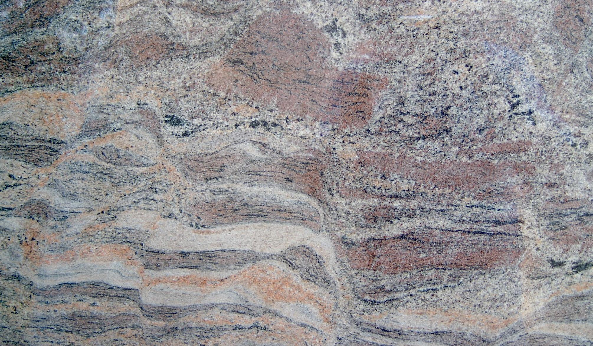 Paradiso Bash Paradiso Bash