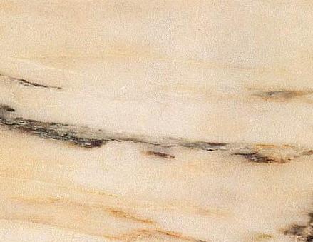 Pteleos Pink Pteleos Pink