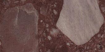 Red of Weeelth Red of Weeelth